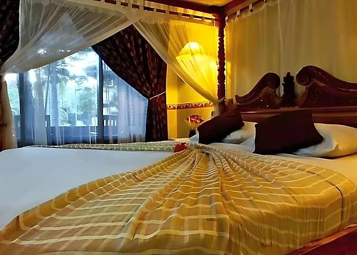 بالم بيتش بالي 3* كوتا